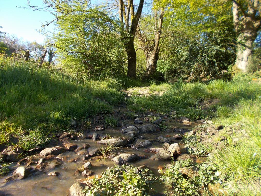 Terre et Eau gite La Flocellière Extérieur photo